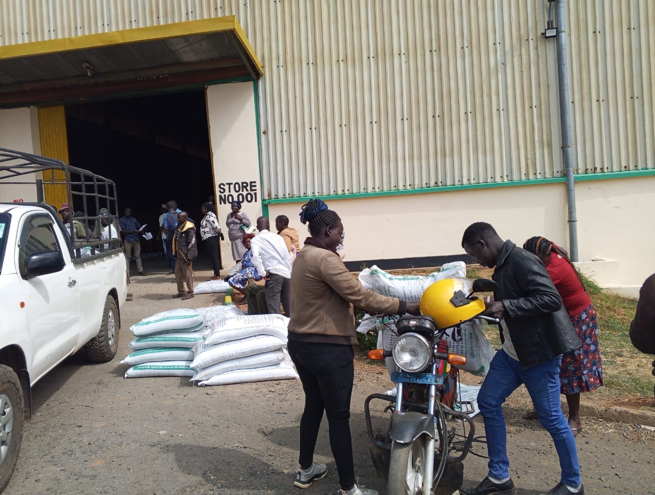 Residents of West Pokot County receiving long rains fertilizers at the NCPB grounds ready to boost their harvests and enhance food security in the region. Photo caption by Richard Muhambe.