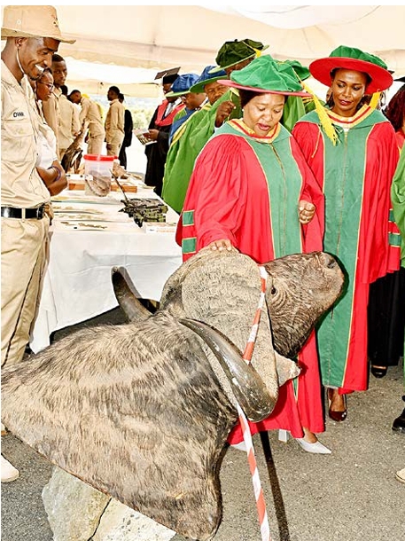 Ministry of Tourism and Wildlife Cabinet Secretary (CS) Rebecca Wanjiku Miano  looks at a mummified buffalo on display at the Wildlife Research Training and  Research Institute (WRTI) in Naivasha during the institute’s 22nd Graduation cere mony on Wednesday. Immediately behind the CS is the Principal Secretary (PS) for  Wildlife Silvia Museiya- Kihoro.