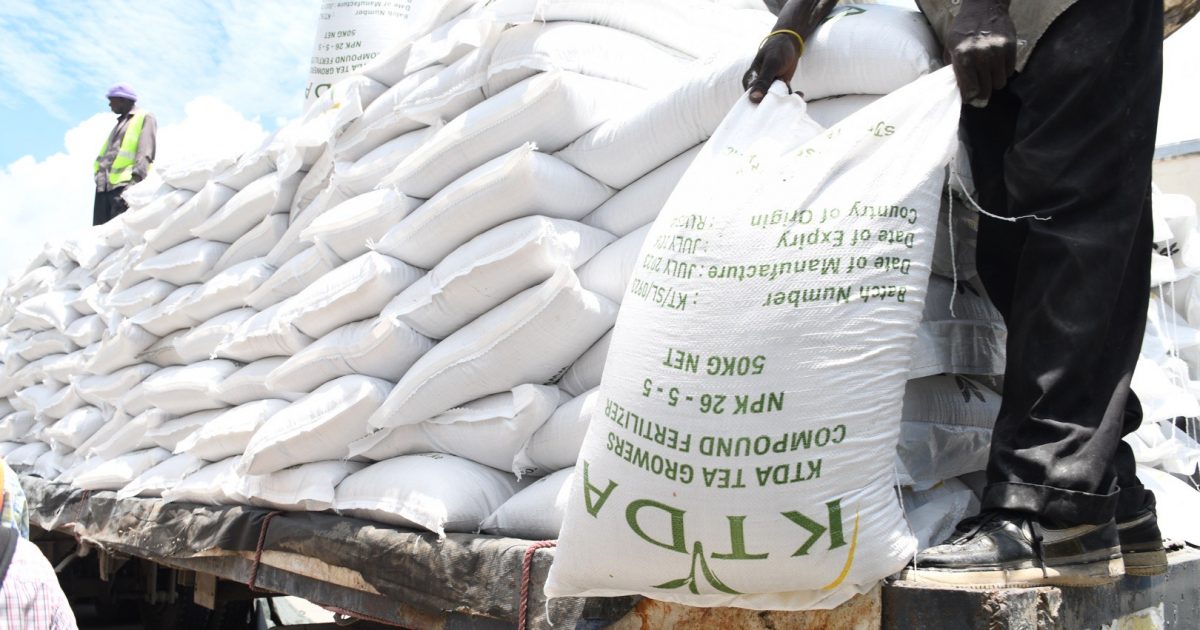 KTDA fertilizer bags being offloaded. Photo/Courtesy