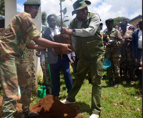 Mr Muthamia planting a tree at Mukaragatine Primary school where the launch event was held. PHOTOS BY DICKSON MWITI