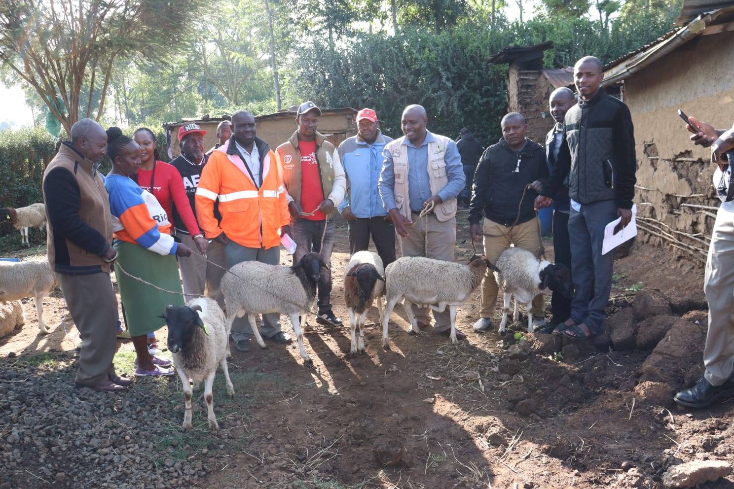 Some of the beneficiaries of Nakuru County Government’s livestock breeds improvement programme that is promoting rearing of Dorper Sheep breeds. 