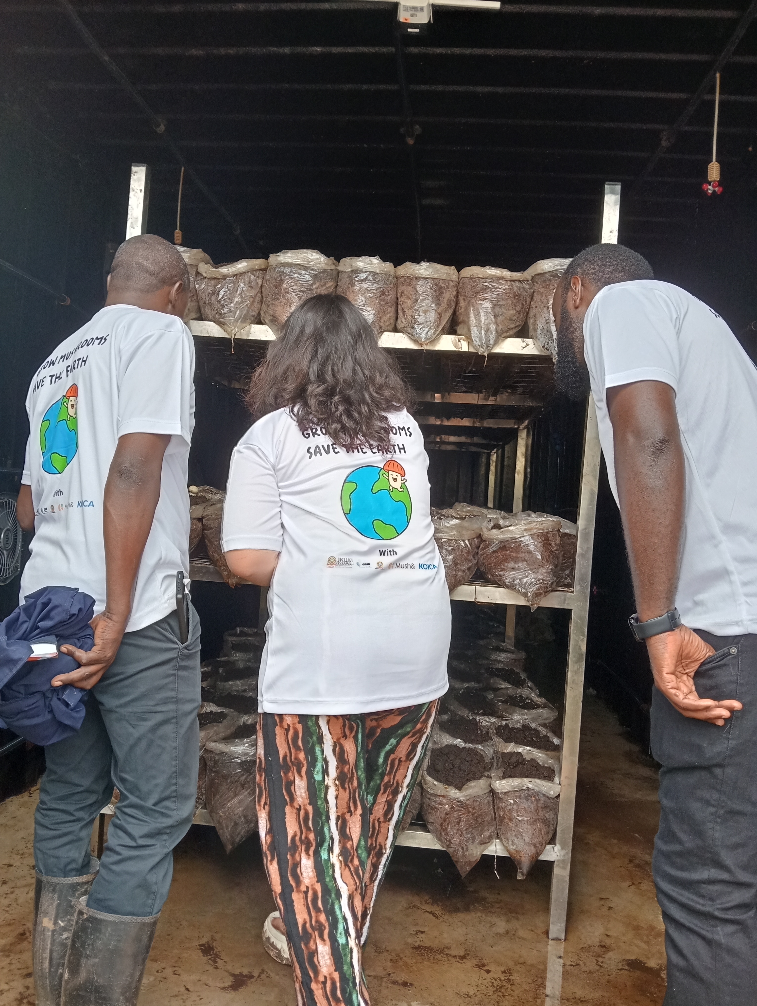Mushroom inside the high-tech 40-foot container.