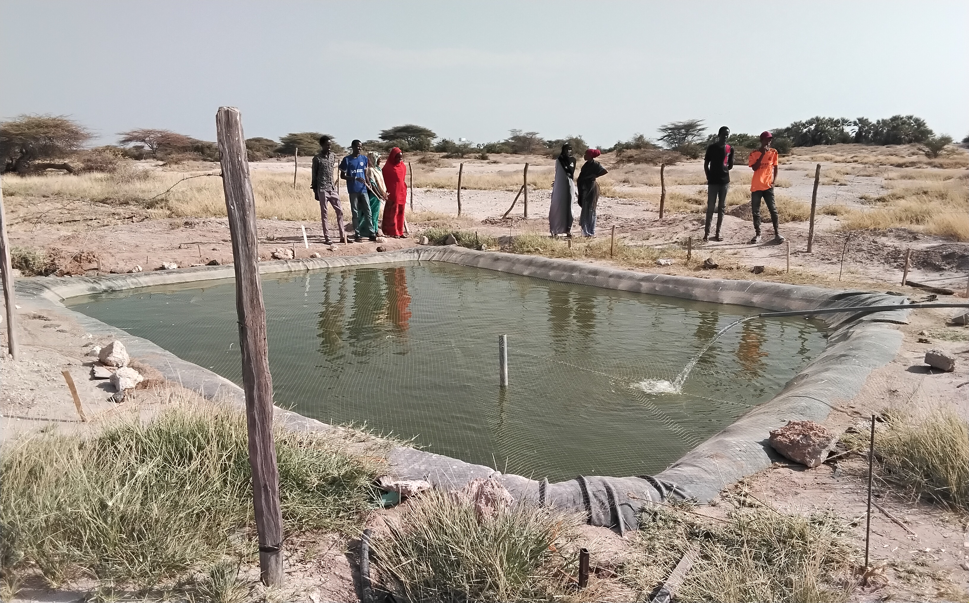North Horr technical and vocational training institute agriculture students doing fencing of a fish pond at the institution. The ponds developed with the support from the WFP and the county government of Marsabit at their request  accorded them hands-on skills in fish farming.