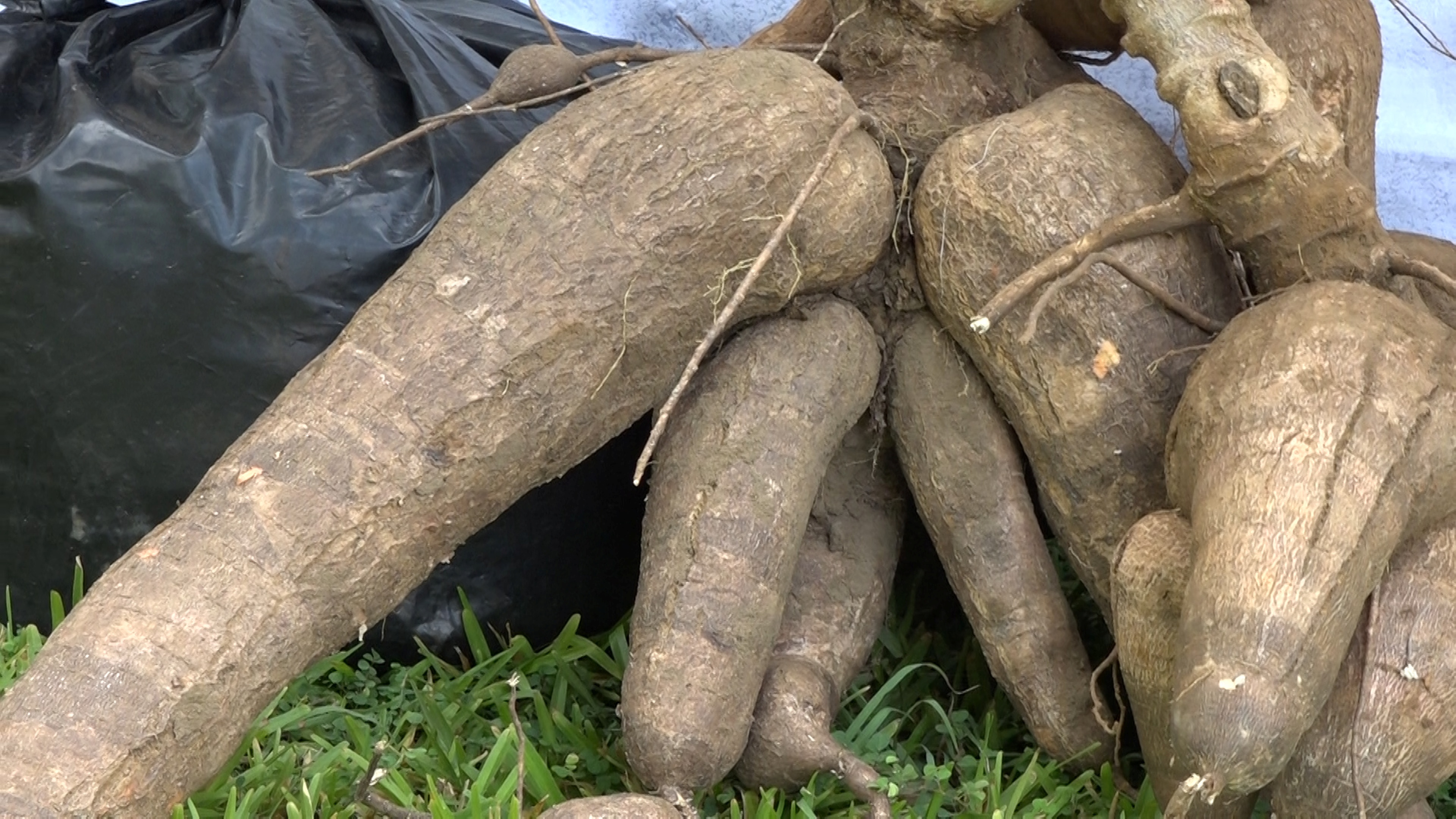 Agriculture and Livestock Development Cabinet Secretary Mutahi Kagwe admires exhibitions during the Jumuiya ya Kaunti za Pwani (JKP) agricultural revitalization summit held at a Malindi hotel 