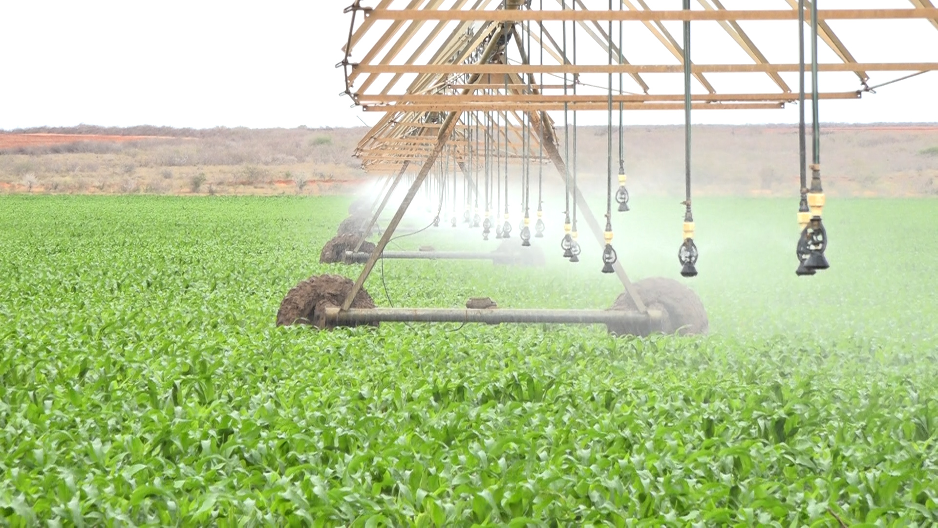 Center pivot irrigation at the Galana-Kulalu Food Security Project.