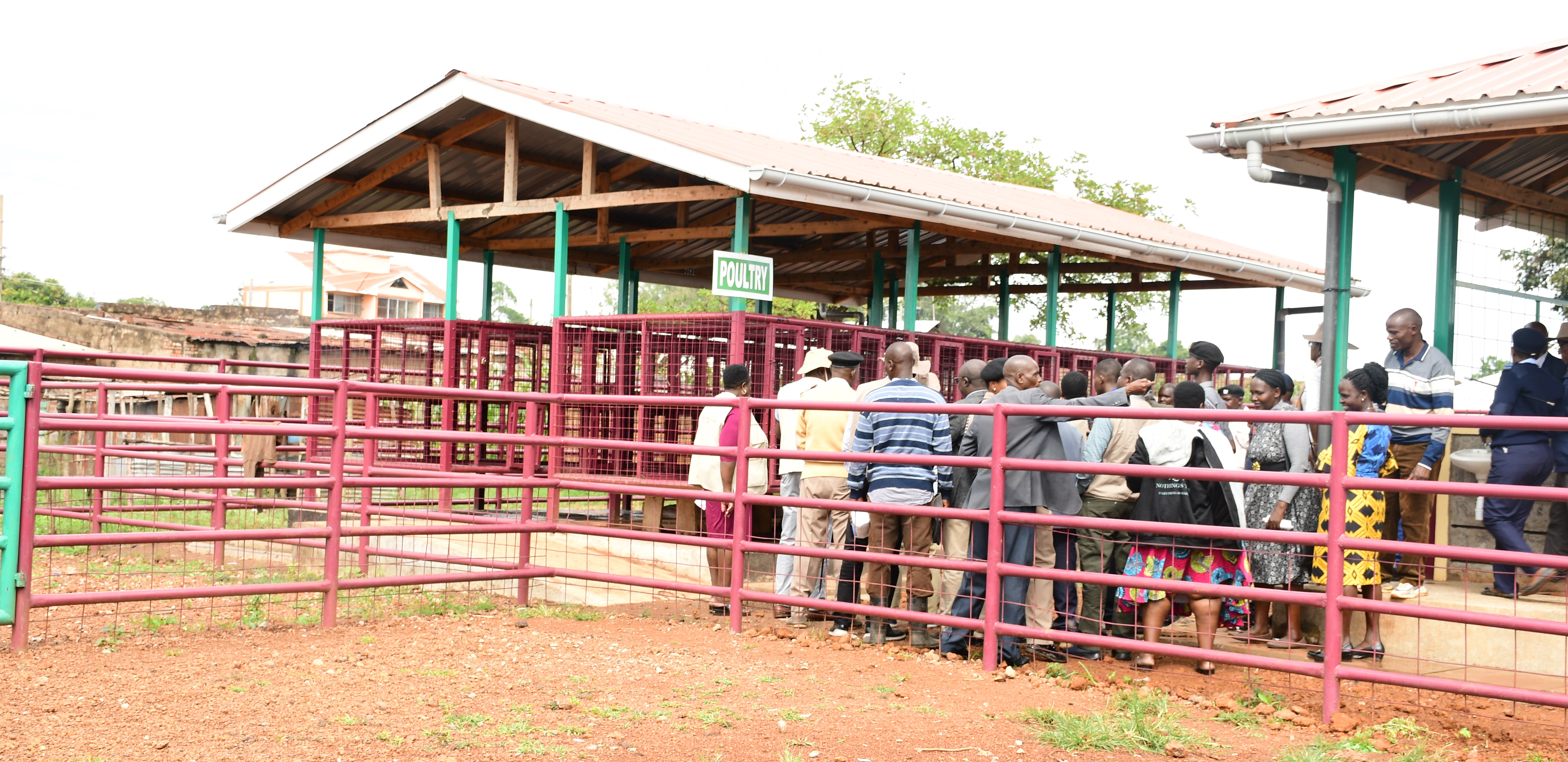 A modern Livestock market at Nambale Sub County, the facility has been constructed through the partnership of the National Government and the County Government of Busia at a cost of shs. 23 million.
