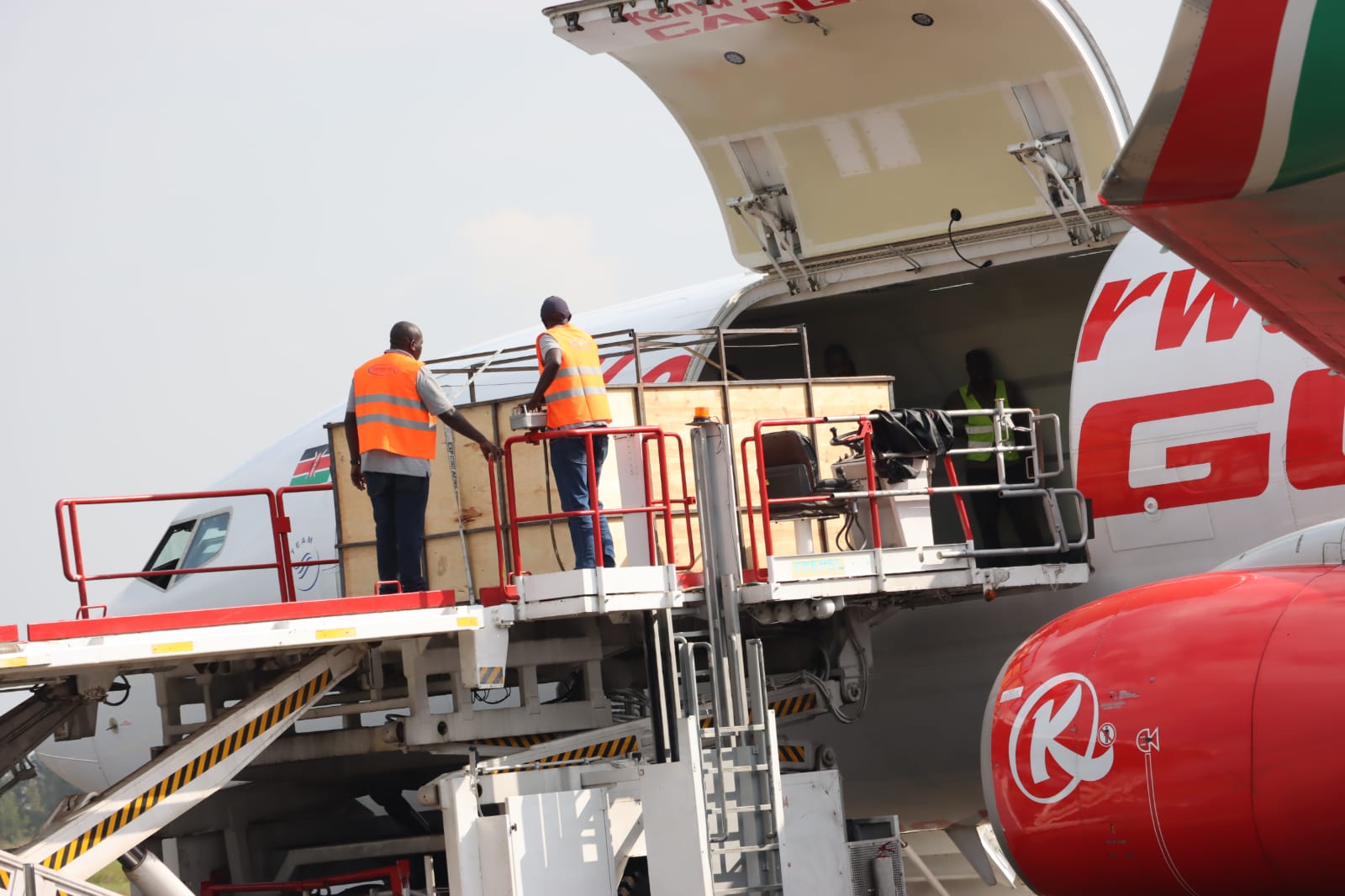 Uasin Gishu county exports 50 in-calf Ayrshire heifers to Nigeria