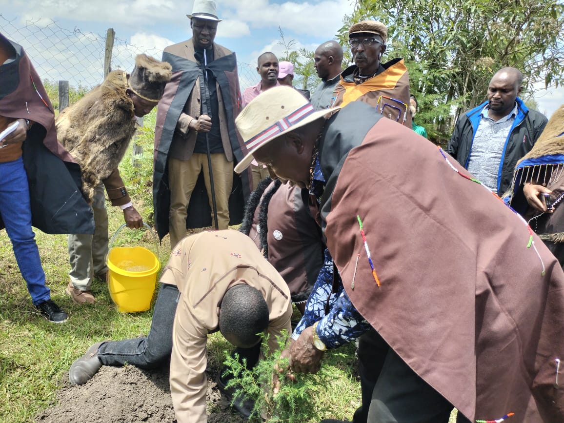 Ogiek community dancers perform during the 6th Annual Ogiek Cultural Festival in Nkareta, Narok North, showcasing the community’s rich heritage and deep ties to the Mau Forest Complex