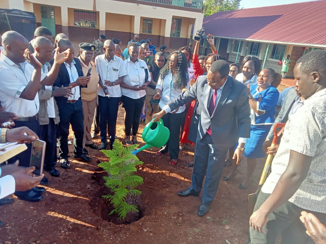 Education Cabinet Secretary Dr. Julius Migos Ogamba waters a tree he planted at Kakamega Primary School.Photo/Photo/ GEORGE KAIGA