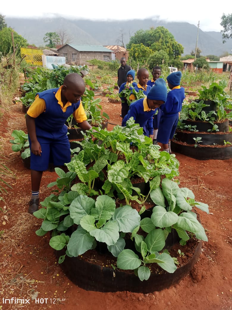 Mkwachunyi Primary School pupils.