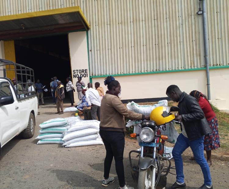 Residents of West Pokot County receiving long rains fertilizers at the NCPB grounds ready to boost their harvests and enhance food security in the region. Photo caption by Richard Muhambe.