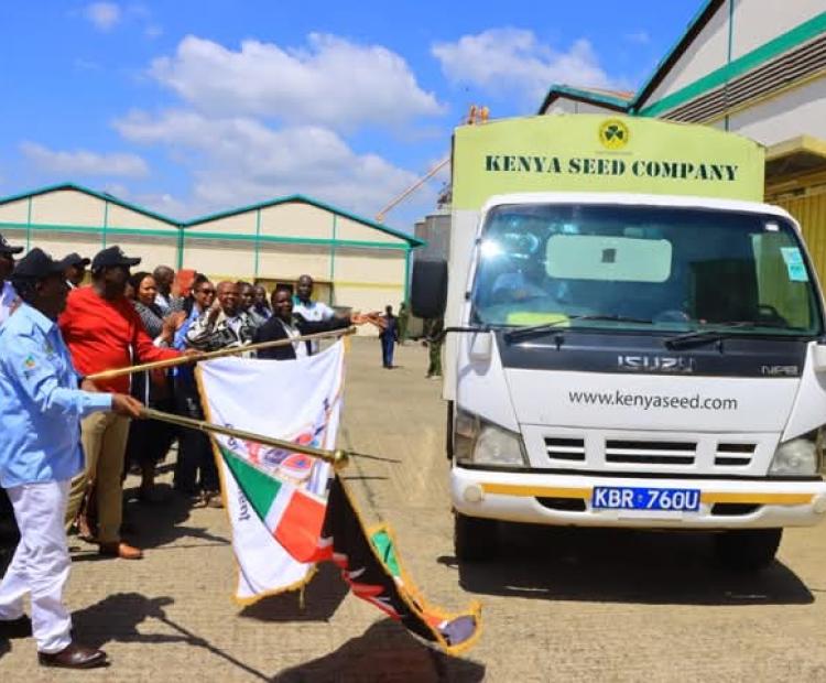 Agriculture PS Dr. Paul Ronoh (in light blue shirt) and Narok Governor Patrick Ntutu issue planting seeds to farmers at the Narok- National Cereal and Produce Board.