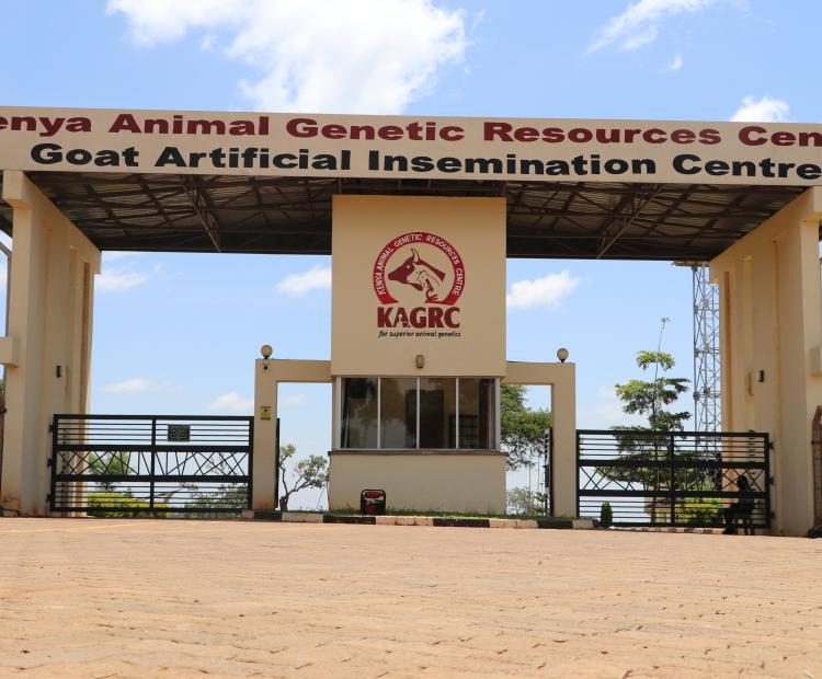 entrance at Ahiti Domba centre Mwea, Kirinyaga county
