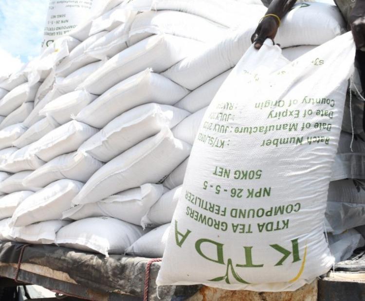 KTDA fertilizer bags being offloaded. Photo/Courtesy