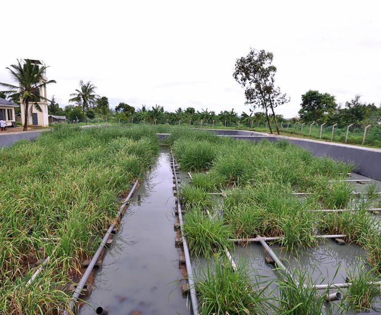 The Sh40M constructed wetland treatment plant in Mikindani, Jomvu Sub-County