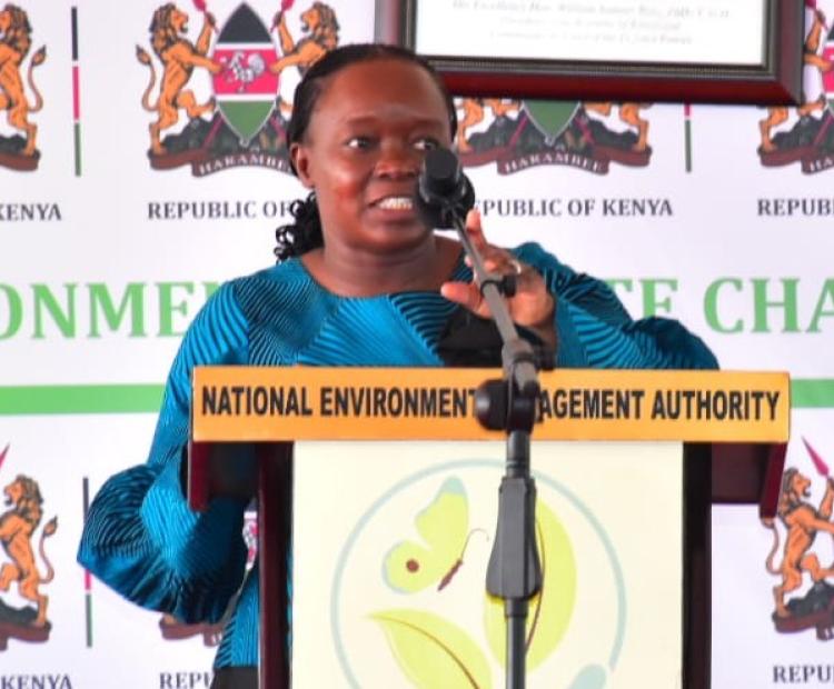CS Environment Debora Barasa