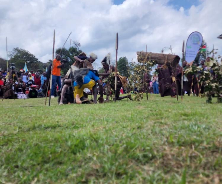 Ogiek community dancers perform during the 6th Annual Ogiek Cultural Festival in Nkareta, Narok North, showcasing the community’s rich heritage and deep ties to the Mau Forest Complex